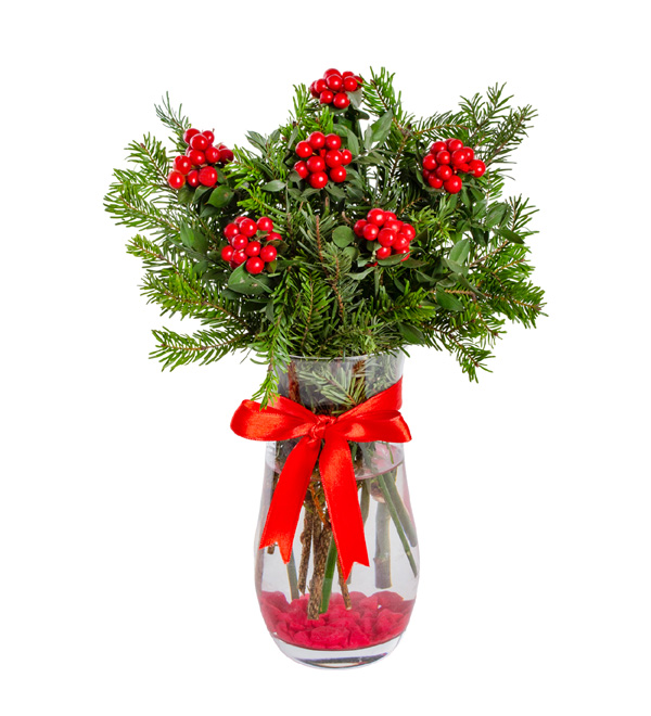 Vazoda Kokina Yılbaşı Çiçeği