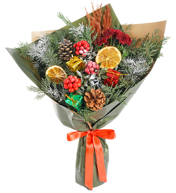 Yılbaşı Şans Çiçeği Kokinalar