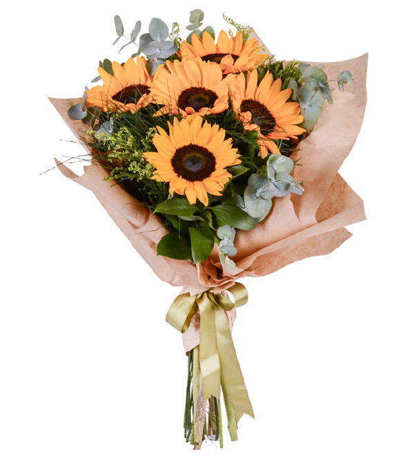 Sensiz Olmaz Beyaz Çift Dallı Orkide