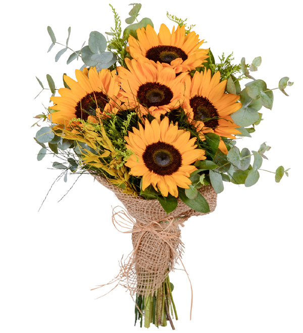 Vazoda Mevsim Çiçekleri